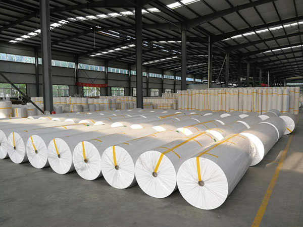 通城狭缝式涤纶纺粘无纺布